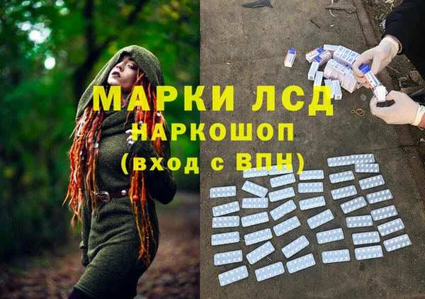 ГАЛЛЮЦИНОГЕННЫЕ ГРИБЫ Алексин