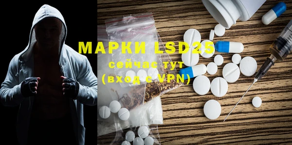 ГАЛЛЮЦИНОГЕННЫЕ ГРИБЫ Алексин