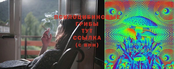 сатива Алексеевка