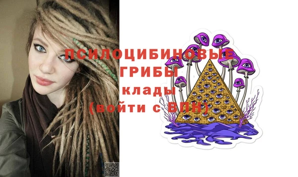 сатива Алексеевка
