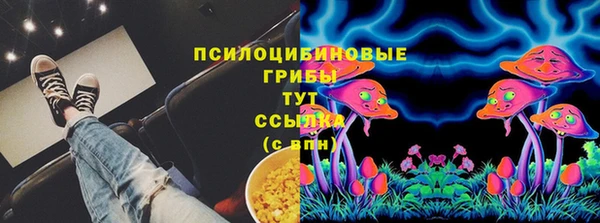 ГАЛЛЮЦИНОГЕННЫЕ ГРИБЫ Алексин
