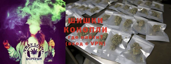 ГАЛЛЮЦИНОГЕННЫЕ ГРИБЫ Алексин